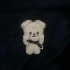 StrayKids マグネットキーリング スンミン パピム スキズ 10cm