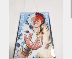 僕のヒーローアカデミア 轟 焦凍 フルカラーアートボード