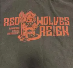 GILDAN Arkansas State Tシャツ XL