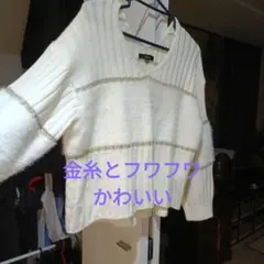 状態良しモモンガ風 今時デザイン大きいサイズレディース3Lくらい