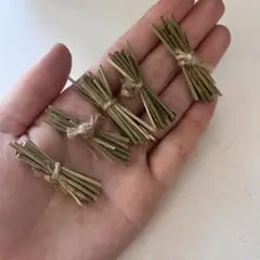 ぱるこ様 リクエスト 2点 まとめ商品