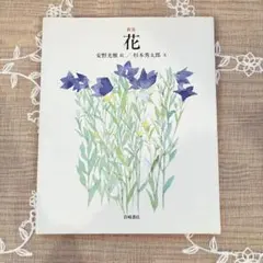 Item thumbnail for item fe34fd4d-dc50-4886-b08c-fc182825d122