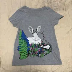 2026年最新】小沢健二 tシャツの人気アイテム - メルカリ