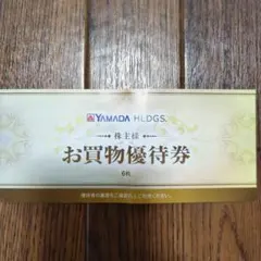 ヤマダ電機 YAMADA HLDGS. お買物優待券 6枚 3,000円分
