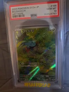 2023 ポケモンカード フシギダネ ART RARE PSA10 2023 フシギダネ PSA 10 AR仕様 - カルドバ