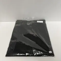 ray of light サポートウェア② ロンT THE RAMPAGE