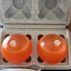 Item thumbnail for item 94dccfee-7d5e-4b53-8355-f482ae4688b3