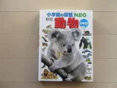 Item thumbnail for item ed89ad89-db01-4f44-81cb-3e62a3c55fb1