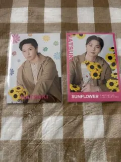 SUNFLOWER 堀夏喜 フォトカード