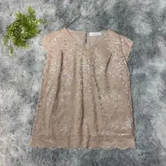 グリーンレーベルリラクシング F ブラウス 総レース ピンクベージュ レーヨン