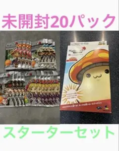 メイプルストーリー Maple Story TCG 第一弾 韓国語 スターター 発売済み商品(未開封BOX・未開封セット) 【倉庫在庫