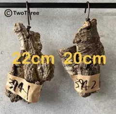 メルリー様 リクエスト 2点 まとめ商品