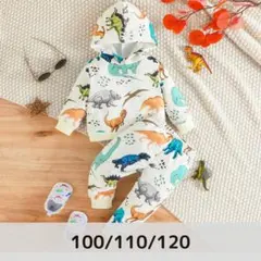 恐竜柄 トレーナー パーカーセットアップ　 100　男の子　スウェット