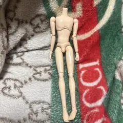 プーリップ ボディー