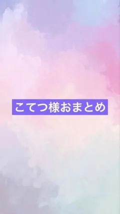 こてつ様 リクエスト 2点 まとめ商品