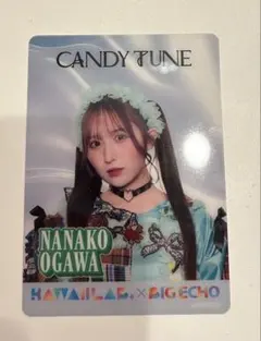 サムライハポン様 リクエスト 2点 まとめ商品