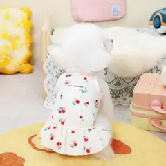 犬服 猫服チェリー柄 小型犬 春夏 秋 ペット服 S-Mオプション