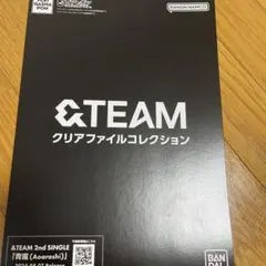&TEAM クリアファイルコレクション