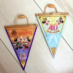 ディズニー　40周年タペストリー2個セット