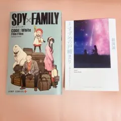 Item thumbnail for item 1c81e96d-2c3e-4832-aac4-171267804ed2