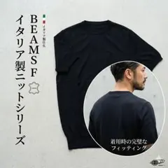ビームスエフ BEAMS F イタリア製 ショートスリーブニット 48 Lのサムネイル