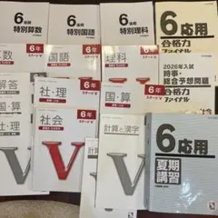 Item thumbnail for item 73d3229a-8096-49a1-b1d4-c3714e502e2c