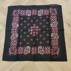 Item thumbnail for item e96135f4-76cc-4847-9d29-ebb0a6130c03