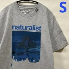 T.T.C様 リクエスト 2点 まとめ商品