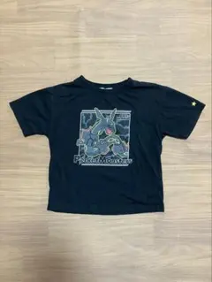 ポケットモンスター 黒いレックウザ 130