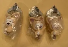 Straykids つまんでつなげてますこっと ジニレット 3個 ガチャ