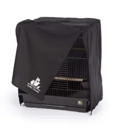 Item thumbnail for item 24276aa8-d8b0-4226-9dc0-e095bee50b93