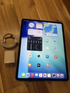 iPadPro 12.9/5世代/512GB/SIMフリー