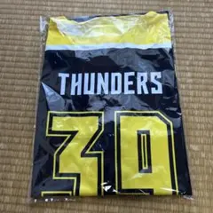 群馬クレインサンダーズ　ホッケーシャツ