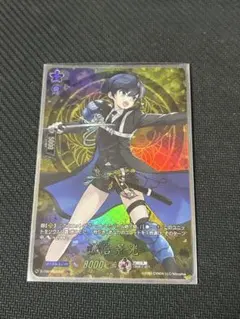 三国志大戦 三国志大戦3 SR孫尚香 セルベリア 本庄雷太 RAITA - メルカリ