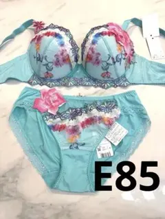 サルート E85 ノーマル LLのサムネイル