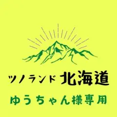 ゆうちゃん様専用