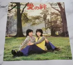 高橋留美子 めぞん一刻 移りゆく季節の中で LD レーザーディスク