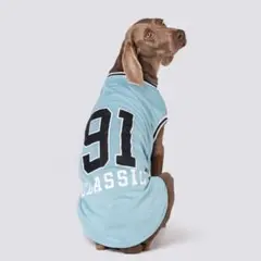 犬服xxl