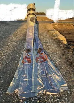 Item thumbnail for item 20af2182-1040-4145-bcd3-888ff87c5d18