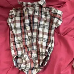 Item thumbnail for item 71ec0c09-c533-425a-be41-1461af90c664