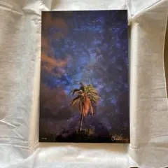 クリストファー・イーガン GALACTIC PALM（S）21/50