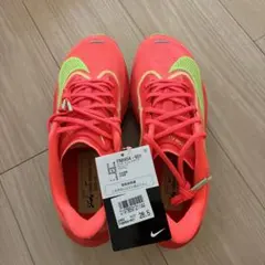 NIKE ズームフライ6（Zoom Fly 6）　FN8454-601