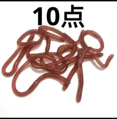 Item thumbnail for item 35b3137e-2a41-4190-b6ed-387897ba69bc