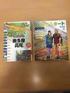 Item thumbnail for item 6267130a-f448-4213-85d7-e53ad483e981