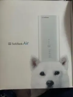 ソフトバンクAir ターミナル4