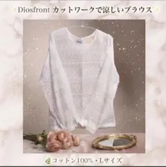 ✨️Diosfront✨️М 綿100 レース 刺繍 カットワーク ブラウス 白のサムネイル
