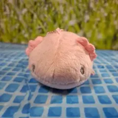 ウーパールーパーぬいぐるみ