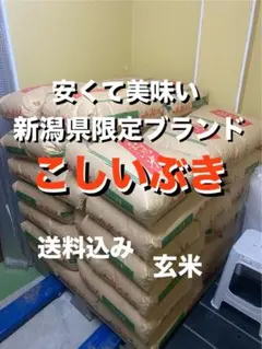 新潟 米 こしいぶき 30㎏ 玄米 送料込み - メルカリ