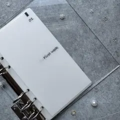 Item thumbnail for item aca9d1fa-5147-4c0f-992f-dc2d66993964