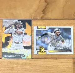 Item thumbnail for item cc2f498d-d204-4f79-a491-2556cffb353f